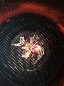 Searing or grilling octopus on Gateway Drum Smoker