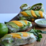 Avocado Basil Pheasant Salad Rolls